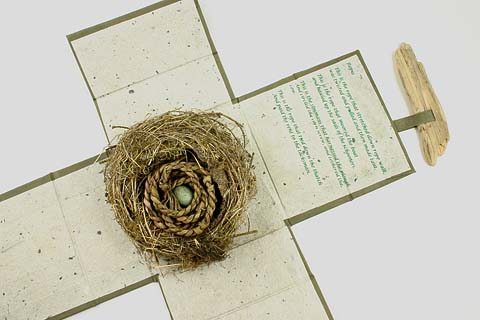 Nest box